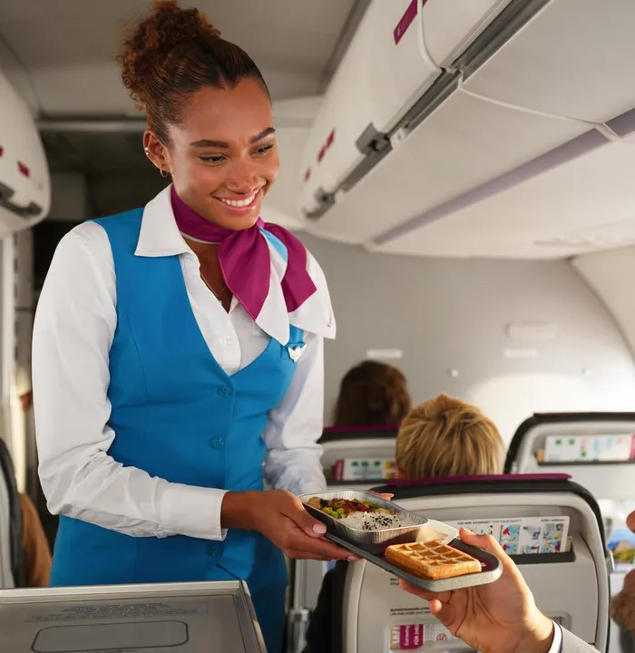 Travel Agent
